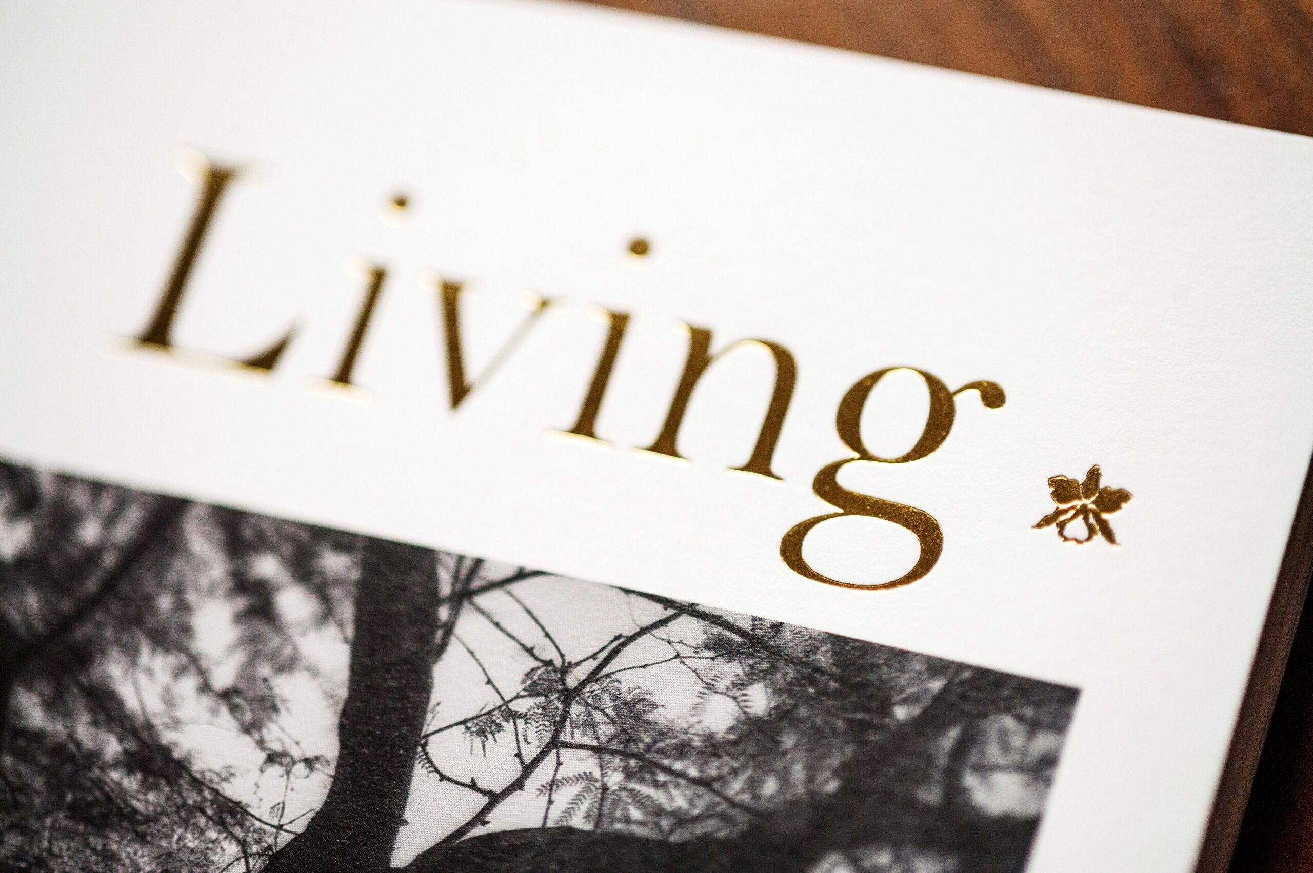 100 Frugal Living Tips That Actually Work